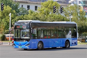 蘇州金龍新能源客車帶你打卡 “世界橙鄉(xiāng)”