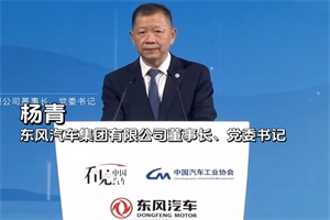 東風公司楊青：在推進汽車產業(yè)高質量發(fā)展中擔當作為