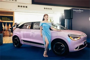 首款車型為納米01 東風(fēng)汽車將于2025年進(jìn)入南非市場