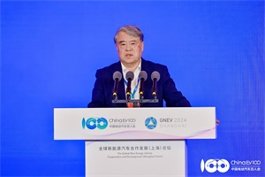 孫曉紅：全球南方新能源市場應重點關注