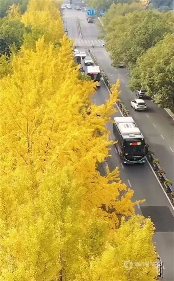 海格新能源客車(chē)