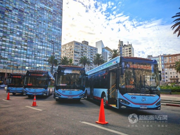 蘇州金龍新能源客車
