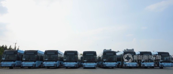 蘇州金龍新能源客車