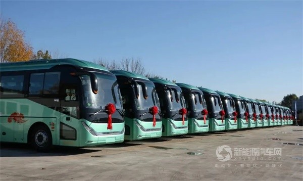 中通H11