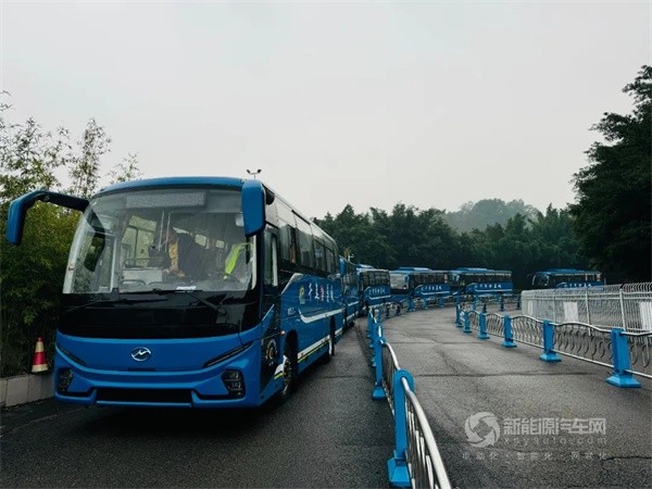 蘇州金龍海格新V系