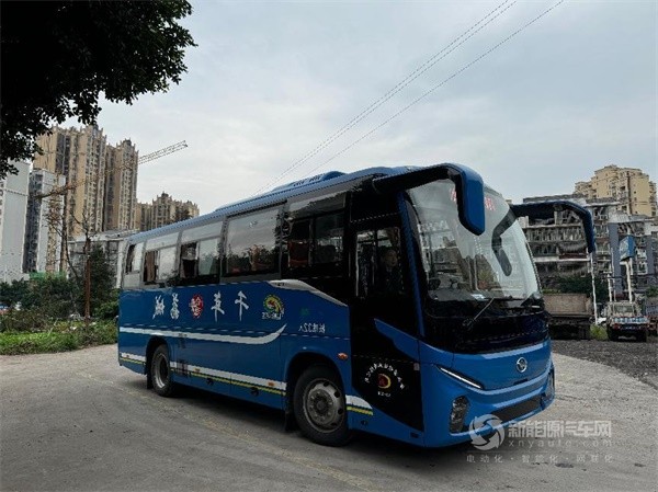 蘇州金龍海格新V系