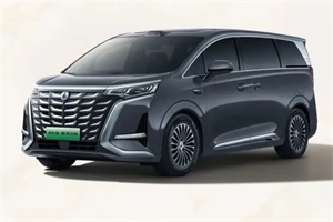 搭載第五代DM技術(shù)/推10屏互聯(lián)功能 2025款騰勢(shì)D9官圖發(fā)布