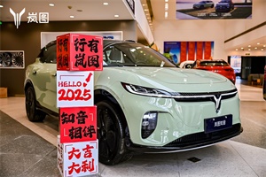 嵐圖車主愛心接力，“新春老鐵車隊”暖心接送“小土豆”