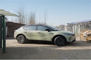 嵐圖知音春節(jié)公益行，車主自發(fā)幫助流浪動物溫暖過大年