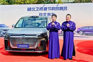 載夢(mèng)荊楚 嵐圖汽車攜手2025湖北衛(wèi)視春晚共赴夢(mèng)想之約