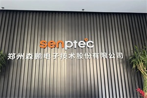 新年開局，森鵬電子憑微秒防護成商用車數智化焦點