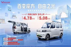 大空間 可拓展，4.78萬起的五菱之光EV“憑啥成為“掙錢利器”?