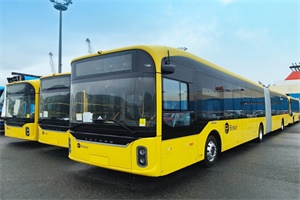 新春鬧海、火力全開(kāi)!287輛宇通純電動(dòng)客車(chē)批量交付挪威