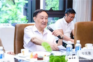北汽集團(tuán)原董事長安慶衡：從新能源汽車盈利難看中國汽車的破局之路