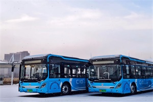 《2025年新能源城市公交車(chē)及動(dòng)力電池更新補(bǔ)貼實(shí)施細(xì)則》印發(fā)