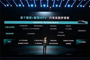 全力沖刺年銷20萬輛!嵐圖汽車3月交付10012輛
