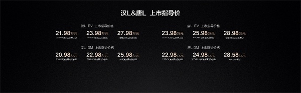比亞迪漢L