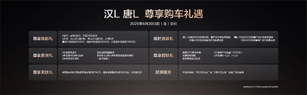 比亞迪漢L