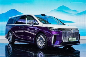 嵐圖汽車(chē)成為2025世界田聯(lián)鉆石聯(lián)賽廈門(mén)站官方唯一指定用車(chē)