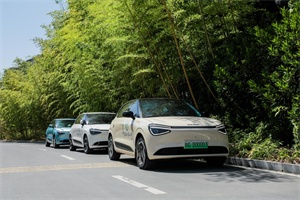 東風乘用車安康公益行：踐行綠色使命，守護漢江清波