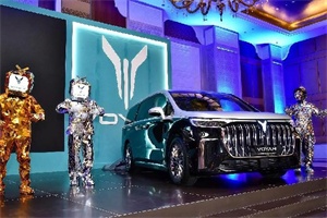 嵐圖汽車進軍卡塔爾：4天拓兩城，深化“一帶一路”布局