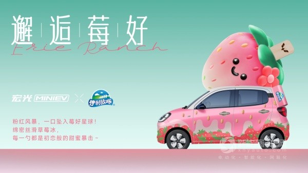宏光MINIEV
