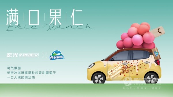 宏光MINIEV