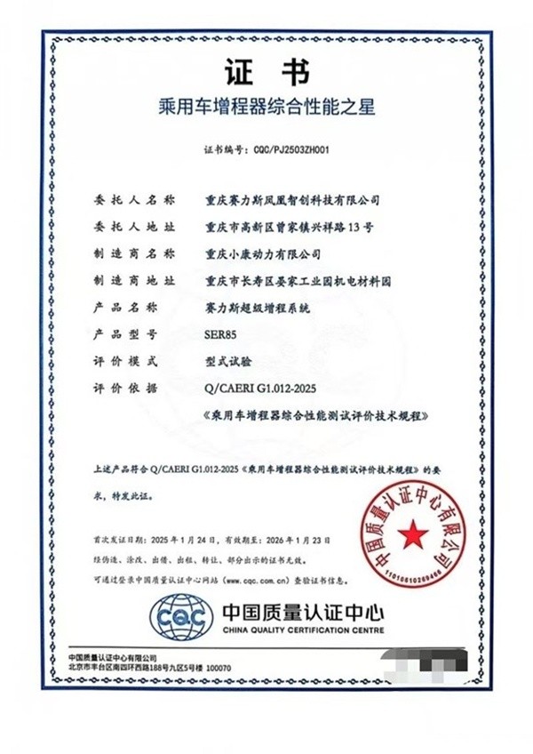 賽力斯段偉