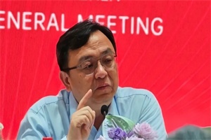 比亞迪王傳福:今年海外銷量數據會非常好 將密集推出智能駕駛技術