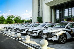 公務(wù)員都在開!比亞迪憑啥成為公務(wù)車首選?