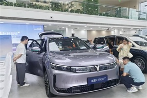 連續(xù)4個月銷量破萬!嵐圖汽車1-6月交付56128輛，上半年同比增長85%