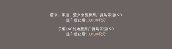 蔚來樂道L90