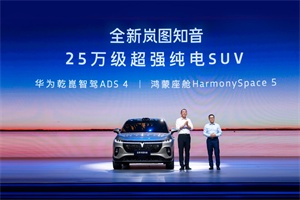薛凱琪、水木年華助陣 134城共慶 2025嵐圖用戶之夜盛大舉辦