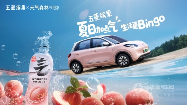 五菱繽果