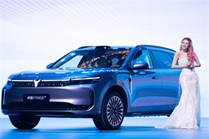 周銷3200輛躋身八強 嵐圖汽車穩(wěn)居新勢力頭部陣營