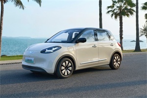 繽果斬獲易車親民小車極限電耗冠軍，18.83kWh/100km實力登頂