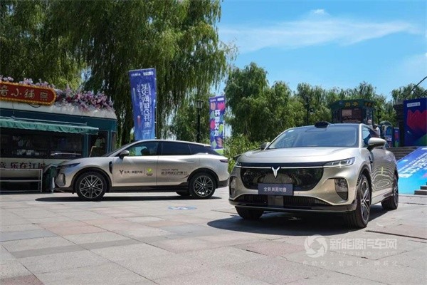 嵐圖汽車