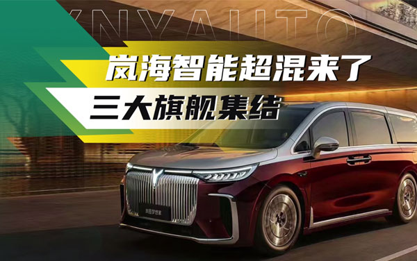 嵐海智混來了——嵐圖汽車