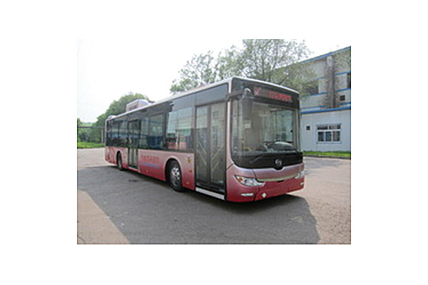 黃海DD6120CHEV1N公交車（天然氣/電混動國五20-41座）