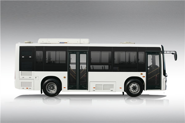中車(chē)電動(dòng)TEG6801BEV07公交車(chē)（純電動(dòng)10-29座）