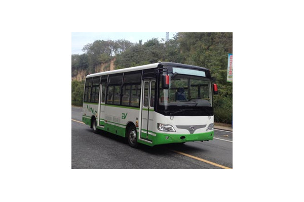 少林SLG6660EVG7公交車（純電動(dòng)10-22座）